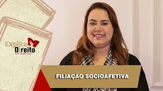 Explica Direito Filiação Socioafetiva  2019 [upl. by Neerac833]