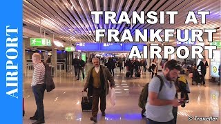 TRANSIT WALK AT FRANKFURT Airport FRA Terminal 1  Connection Flight Transfer Arriving amp Departing [upl. by Airetnuhs]